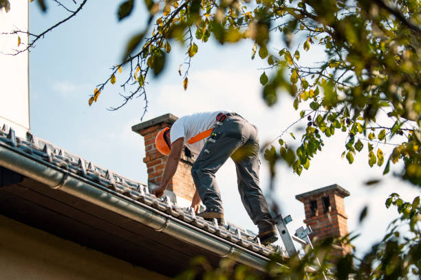 Professional Roofing Contractor in Brookfield, MO