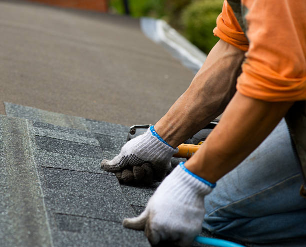 Best Roof Leak Repair  in Brookfield, MO